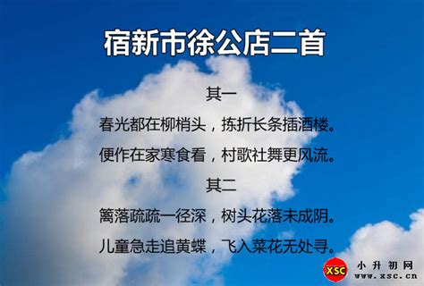 每日背诗 | 宿新市徐公店（其二）-搜狐大视野-搜狐新闻