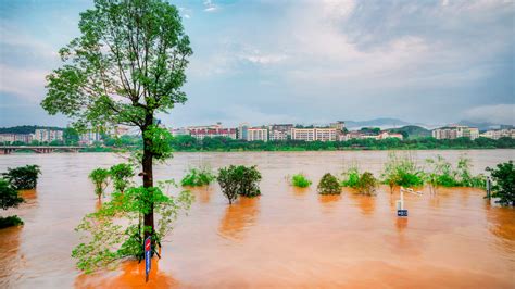 【科技日报】农作物受灾面积75千公顷！河南暴雨对农业影响有多大？