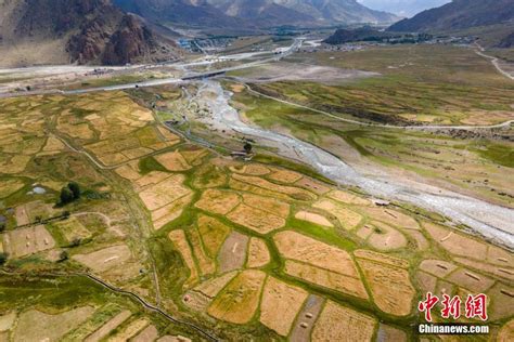 新发地市场果蔬日供应量恢复到疫情前水平