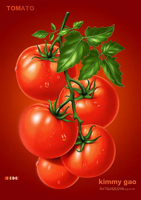 爱吃西红柿是缺维生素吗「详细讲解：爱吃西红柿是缺叶酸吗」 - 寂寞网