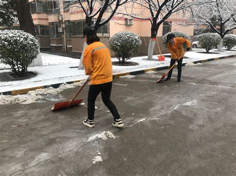 志愿服务在行动 清扫积雪暖人心——我院开展积雪清扫志愿活动-聊城大学历史文化学院