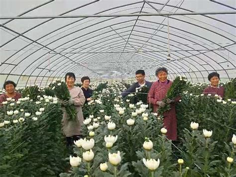 江苏沛县：发展现代农业 助力乡村振兴|农产品|沛县|果园_新浪新闻