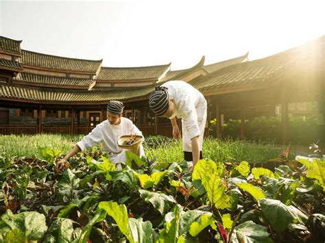 Tease Your Six Senses At Qing Cheng Mountain Resort