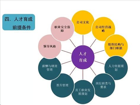 网络营销与直播电商专业（成人）介绍-北京交通运输职业学院