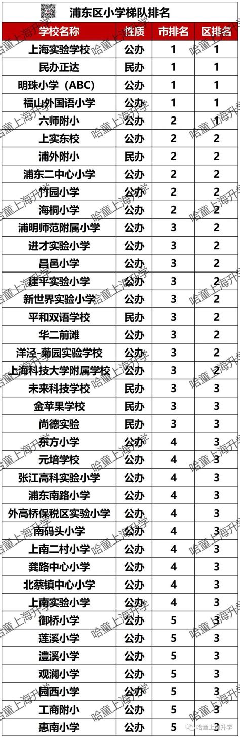 2022年南京市小学排名（南京市比较好的小学有哪些） - 学习 - 布条百科
