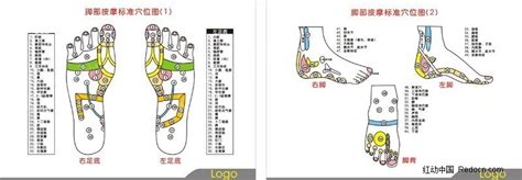 【足部穴位按摩手法】【图】足部穴位按摩手法介绍 关于足部的知识你了解多少(2)_伊秀健康|yxlady.com