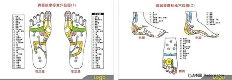 脚板穴位图图片