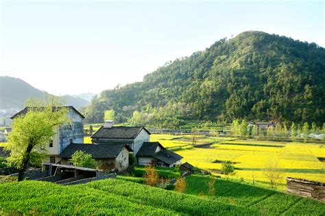 日本的农村怎么样子的 日本的农村生活现实_旅泊网