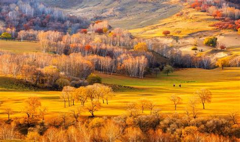 中国十大秋色美景胜地排名 每一个都美的令人窒息_旅泊网
