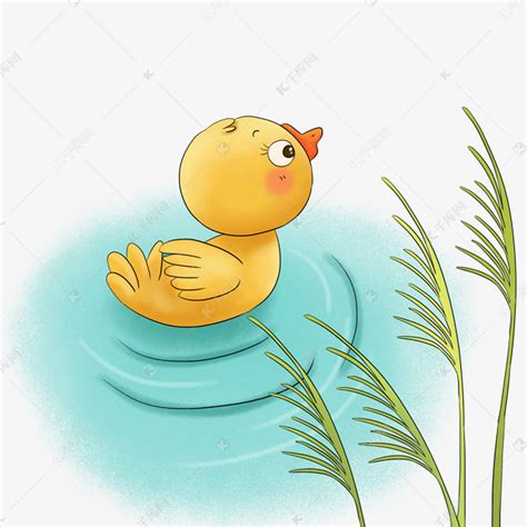 小鸭子在线编辑-小鸭子学游泳读书小报-图司机