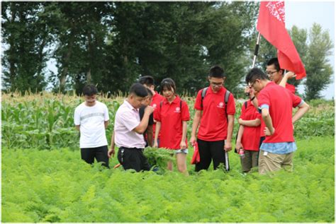 加入合作社的村民，如何在茶叶种植中获得收益？_凤凰网视频_凤凰网