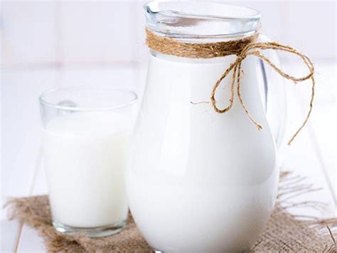 羊奶营养价值更高，养生功效更出色_陕西三原康尔健乳业有限责任公司