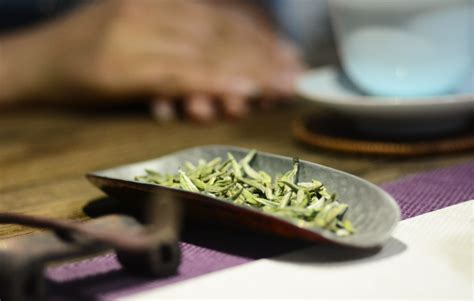 春来品春茶，有一种清香醇厚叫贡山茶