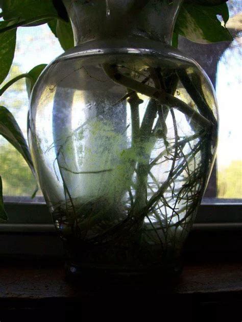 家居DIY：用矿泉水瓶做花瓶 给生活增添不一样色彩 - 装修保障网
