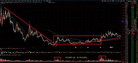 宁波召开新能源汽车研究协会成立会议和动员部署会议-CarMeta