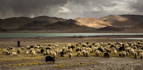 旅行在藏北羌塘无人区，一错再措的神秘大河谷 - 知乎