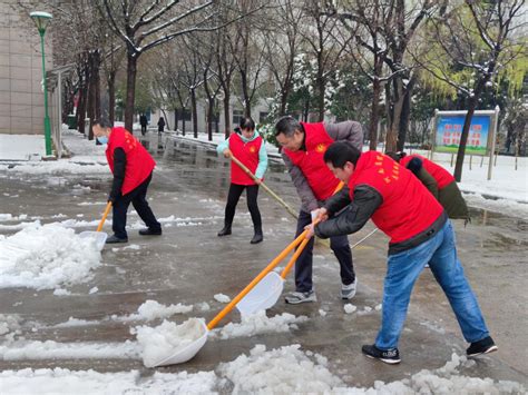 省农科院开展清扫积雪志愿服务活动 - 院直属单位党委