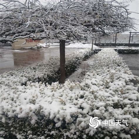 河北迎来大范围雨雪天气 保定山区降大雪-高清图集-中国天气网