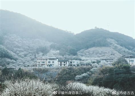 漫山遍野的映山红花儿开了，这里是金寨县吴家店太平山……__财经头条