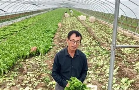 为耕者谋利 为食者谋福—— 记闻喜县口福蔬菜种植专业合作社理事长王作新