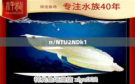 盐城水族批发市场在哪里进货便宜呢（盐城水族批发市场在哪里进货便宜呢多少钱） - 观赏鱼 - 广州观赏鱼批发市场