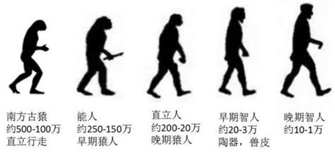 原始人~现代人的进化，与人类颜值呈正比例(民科版~~~) - 知乎