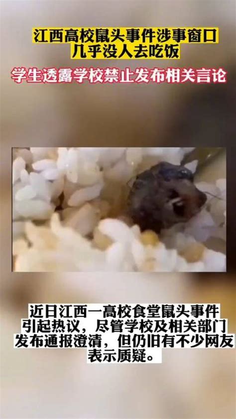 江西多部门澄清高校食堂吃出老鼠头 ，目前几乎没人去涉事窗口吃饭|江西省|高校食堂_新浪新闻