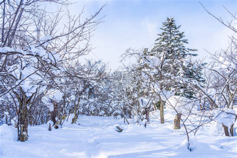 北海道冬日-小樽|摄影|风光|溢草轩 - 原创作品 - 站酷 (ZCOOL)