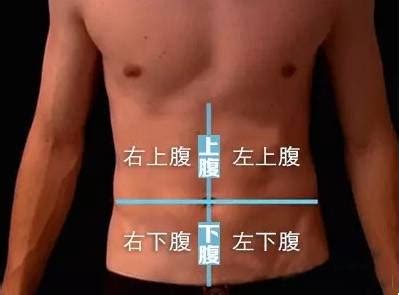 解剖丨腹部、腹壁、腹膜_后壁