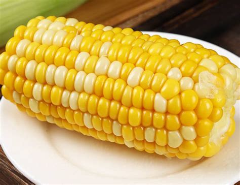 农星207玉米种简介产量如何，农星207玉米品种栽培方法 - 达达搜