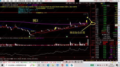 四维擒龙图年卡 四维擒龙图 擒龙不含糊,DLL封装,短线,不包含,通达信,主图公式,股票指标公式分享平台