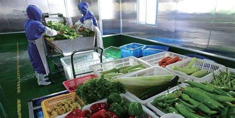 连锁超市配送中心蔬菜品质要求标准 - 知乎