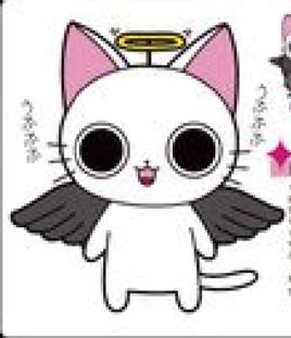 猫天使图册_360百科