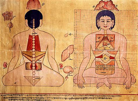你知道什么是山南藏医药浴法吗？它有哪些神奇功效？ - 国内新闻 - 陕西网