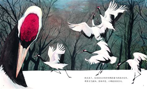 书荐丨《 我的飞鸟朋友》（全4册） ：儿童文学作家、资深观鸟达人保冬妮联合青年画家历时四年创作，讲述中国珍稀鸟类触动人心的故事和智慧-半岛网