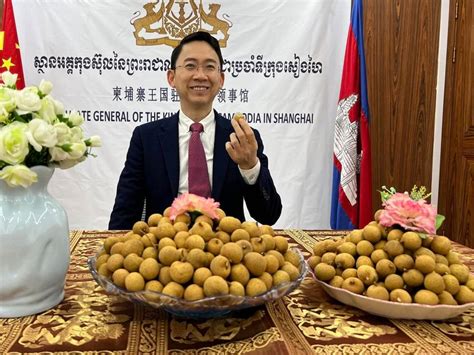 柬埔寨龙眼正式上架中国电商平台 - 亚洲水果