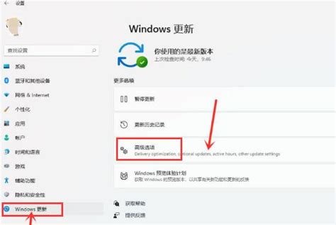 Windows11怎么开启传递优化功能-Windows11开启传递优化功能方法 - PC下载网资讯网