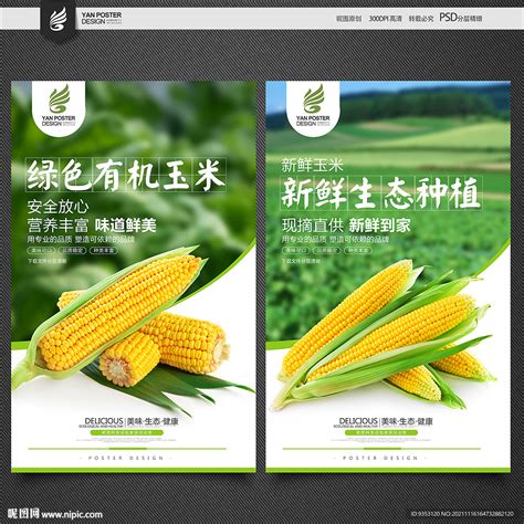玉米广告设计图__广告设计_广告设计_设计图库_昵图网nipic.com