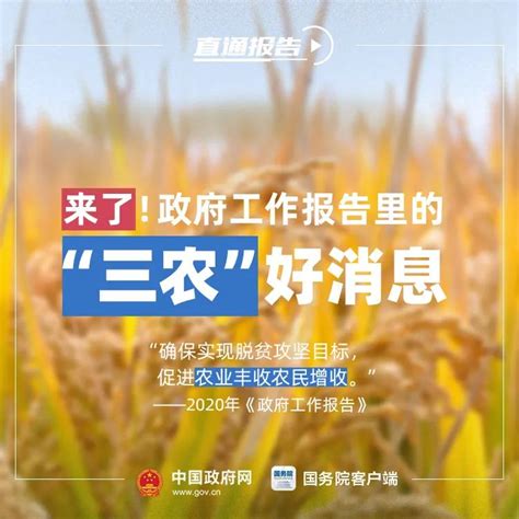 农民朋友的好消息！2020年有这些惠农政策 广东省人民政府门户网站