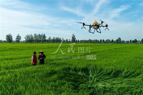 江西宜春：无人机植保促丰产-人民图片网