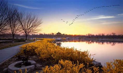 2022减河湿地公园门票,德州减河湿地公园游玩攻略,减河湿地公园游览攻略路线/地址/门票价格-【去哪儿攻略】