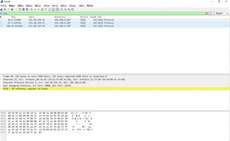 Wireshark的下载安装及简单使用教程_pkg.chuangzuomao.cn-CSDN博客