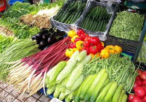无锡蔬菜配送公司如何开拓市场_江苏禾语良蔬农业科技有限公司