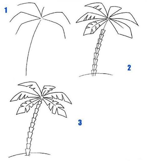 简笔椰子树一般怎么画?-露西学画画