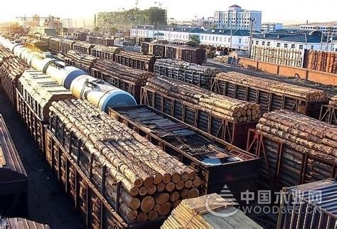 中国绿色木业供应链座谈会在青岛成功举办_行业新闻_资讯_中华整木网