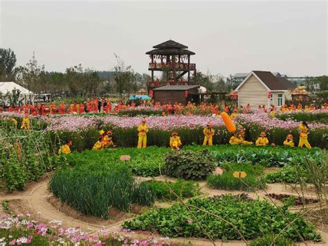西姜寨：打造新农村农文旅融合标杆_县域经济网