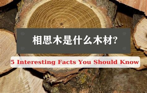 一文读懂FSC、PEFC关于木材禁止措施的解答-林扬东方