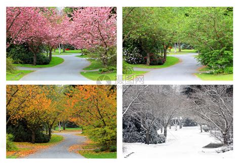 春夏秋冬四季在同一条街上拍到照片高清图片下载-正版图片503246748-摄图网