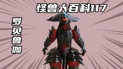 圆盘生物-希尔巴布尔美图片