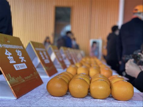2021赣南脐橙博览会，定南展厅销售火爆 | 定南县人民政府